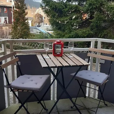 Apartment Harz-glueck1