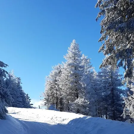 Harz-glueck1 Braunlage