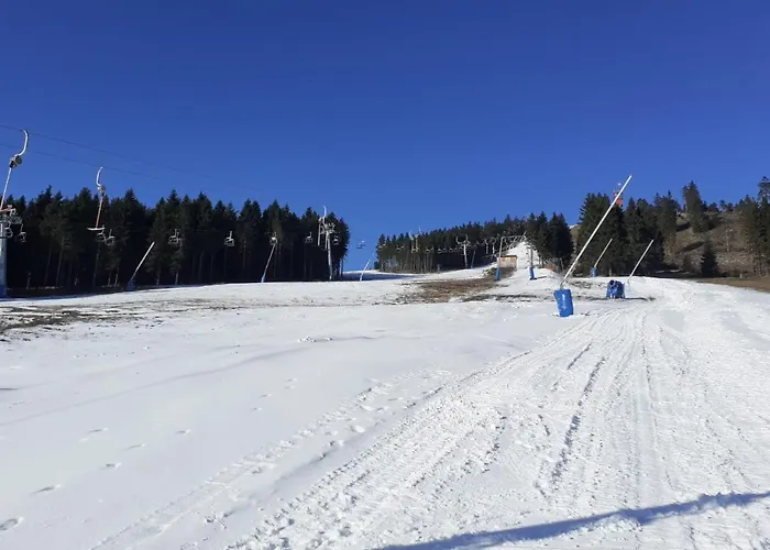 Harz-glueck1 Apartament *