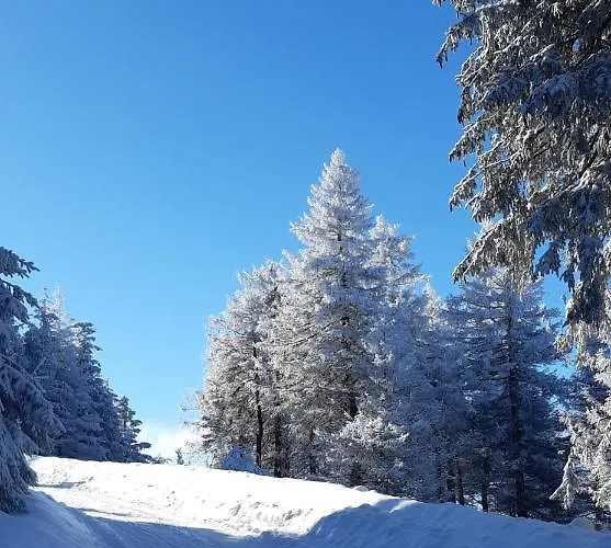 Harz-glueck1 Braunlage