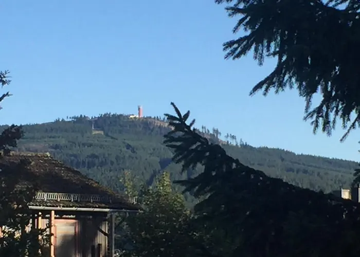 Apartament Harz-glueck1